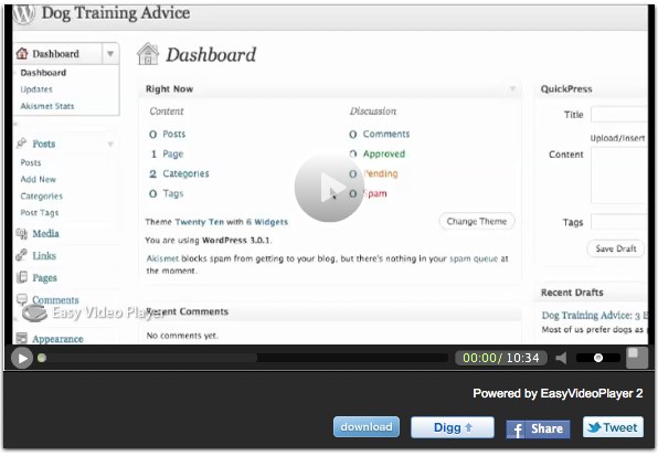 WordPress SEO: How to Optimize Your WordPress Blog to The Search Engines And to Your Readers WordPress SEO: How to Optimize Your WordPress Blog to The Search Engines And to Your Readers